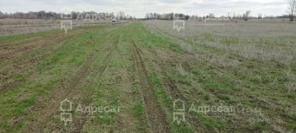 Участок в Волгоградская область, Среднеахтубинский район, Клетское ... - Фото 1