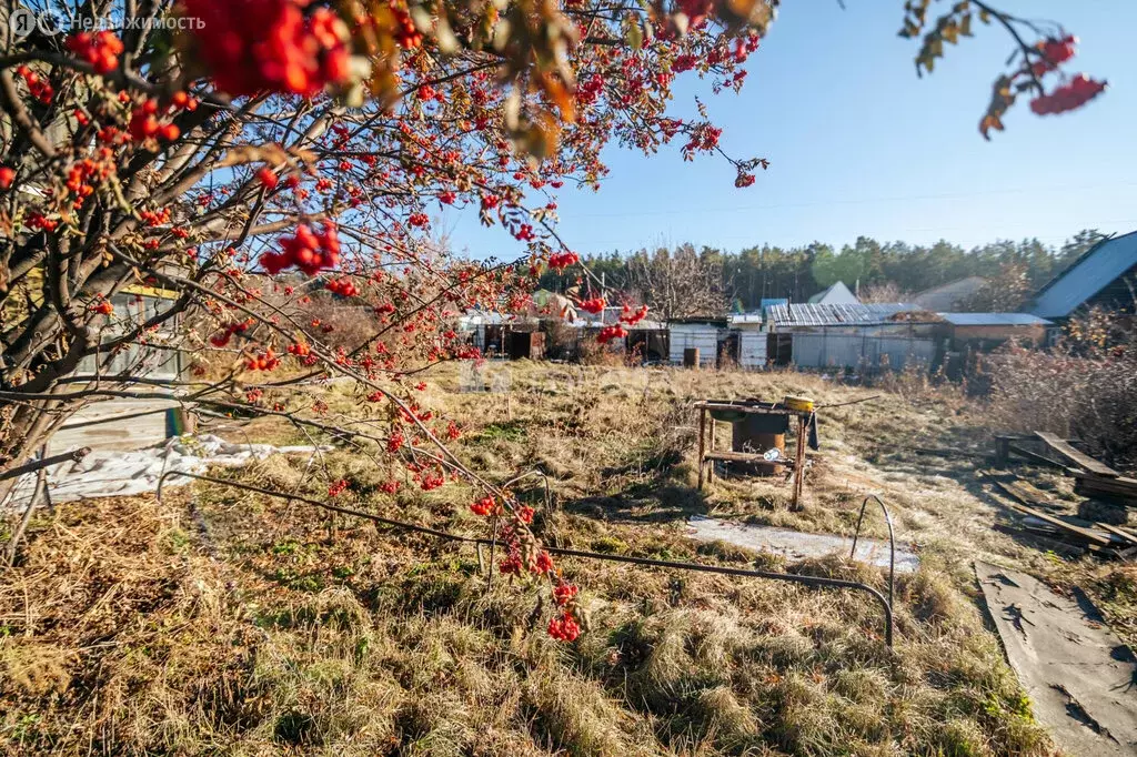 Участок в Барнаул, СНТ Фиалка, Власихинская улица, 67А/385 (4.8 м) - Фото 2