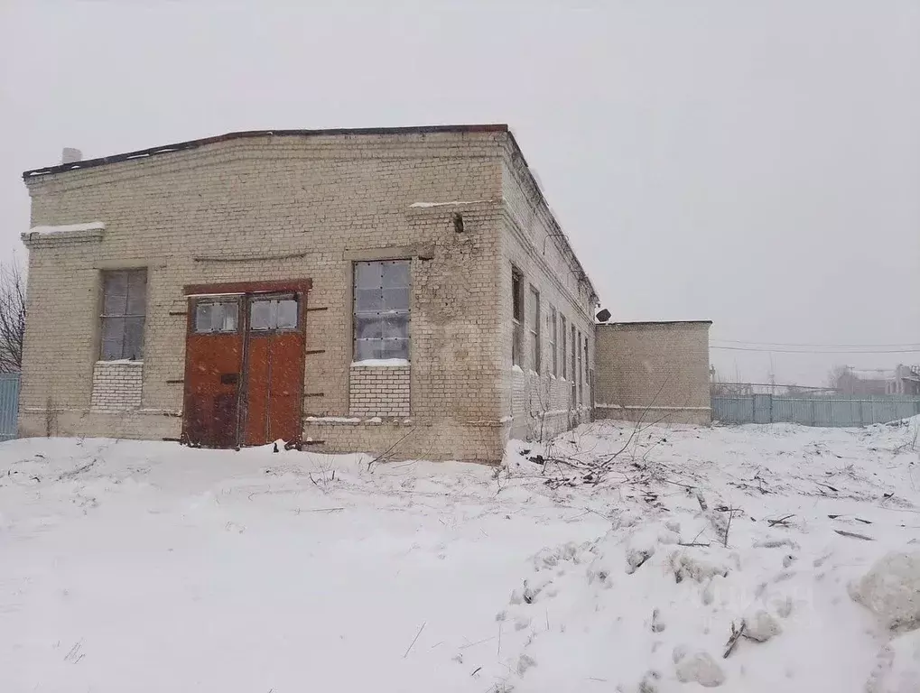 Помещение свободного назначения в Курганская область, Курган просп. ... - Фото 1