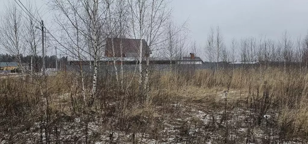 Участок в Московская область, Луховицы муниципальный округ, пос. ... - Фото 1