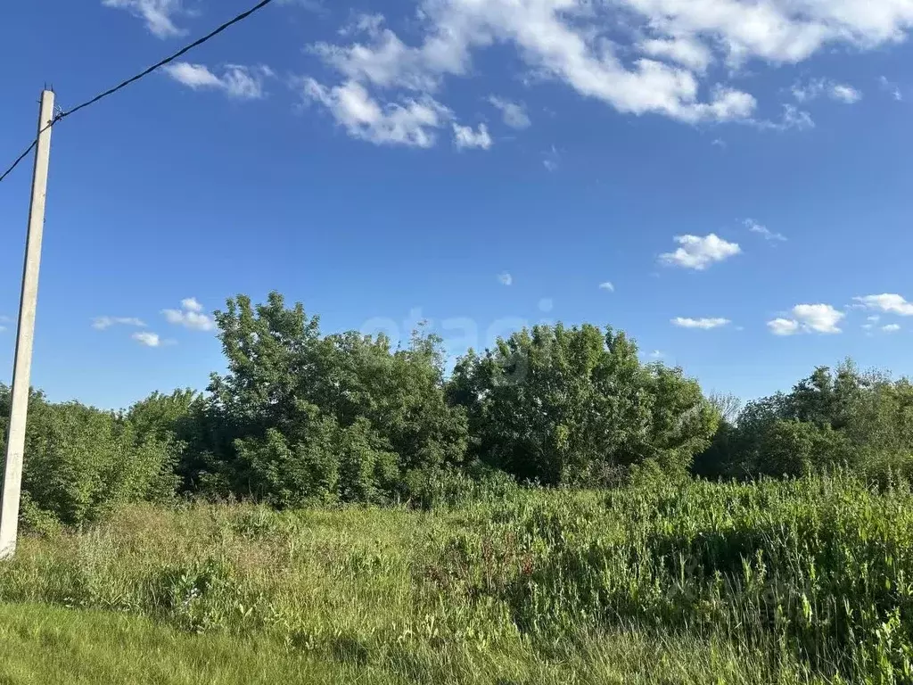 Участок в Саратовская область, Балашовский район, Репинское ... - Фото 1