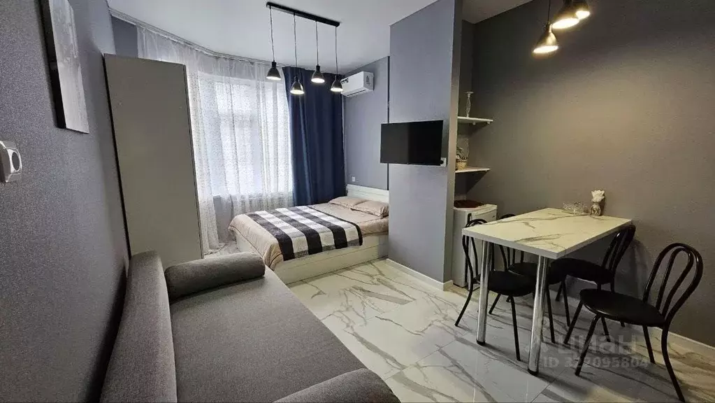 Студия Краснодарский край, Сочи ул. Ленина, 290/6 (24.9 м) - Фото 2