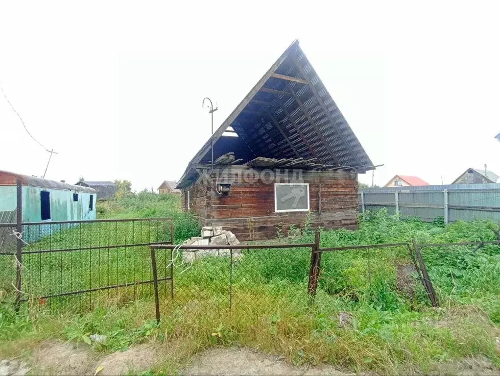 участок в новосибирская область, новосибирск золотая осень садовое . - Фото 0