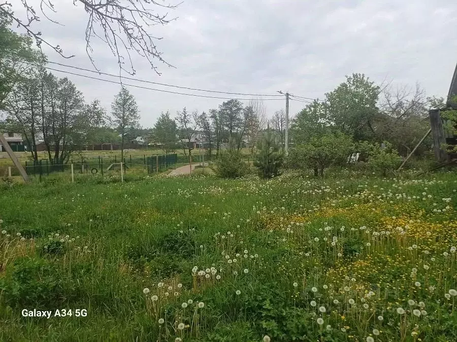 Участок в Москва д. Яковлево, Яковлево СНТ, 67 (3.8 сот.) - Фото 0