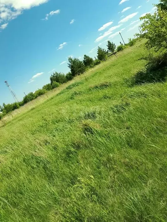 Участок в Воронежская область, Борисоглебский городской округ, с. ... - Фото 2