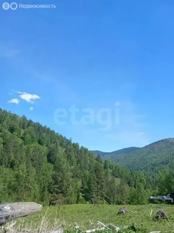 Участок в Чемальский район, урочище Эликманар (125.56 м) - Фото 1