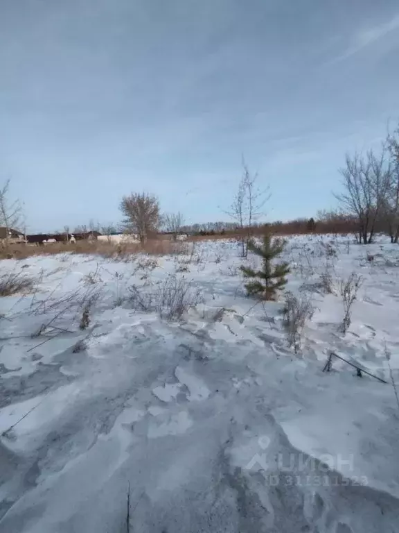 Участок в Алтайский край, Барнаул городской округ, пос. Бельмесево ул. ... - Фото 0