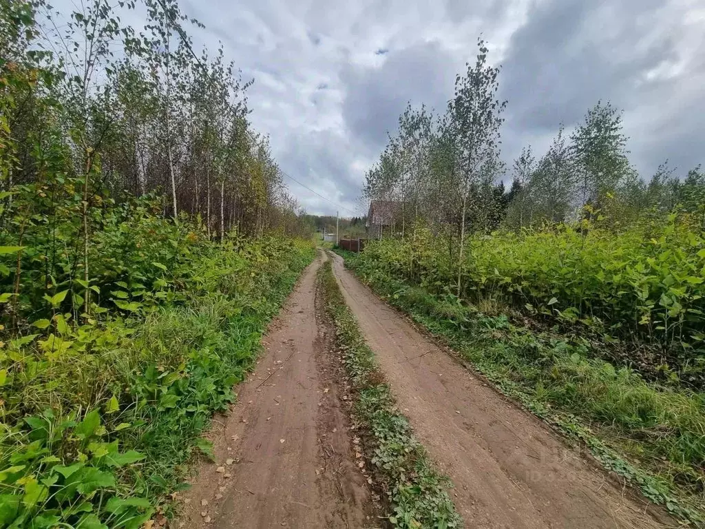 Участок в Московская область, Подольск городской округ, Матвеевское-1 ... - Фото 2