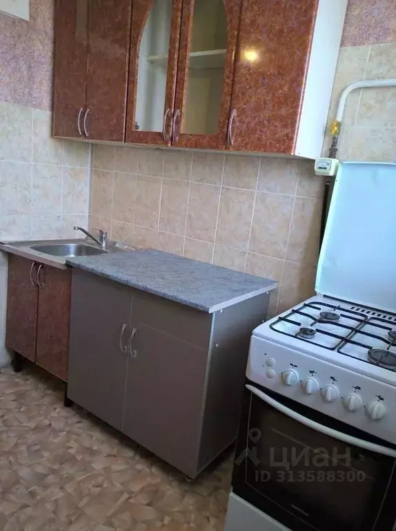 1-к кв. Омская область, Омск ул. Попова, 5 (29.2 м) - Фото 1