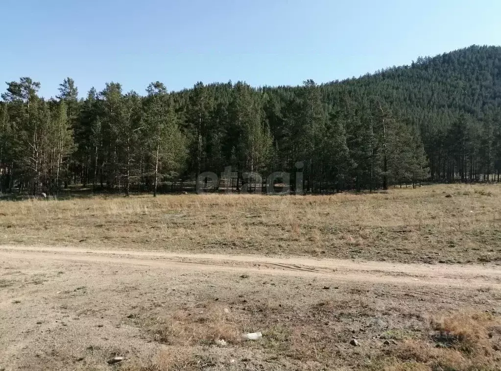 Участок в Бурятия, Иволгинский район, Сотниковское с/пос, с. ... - Фото 2