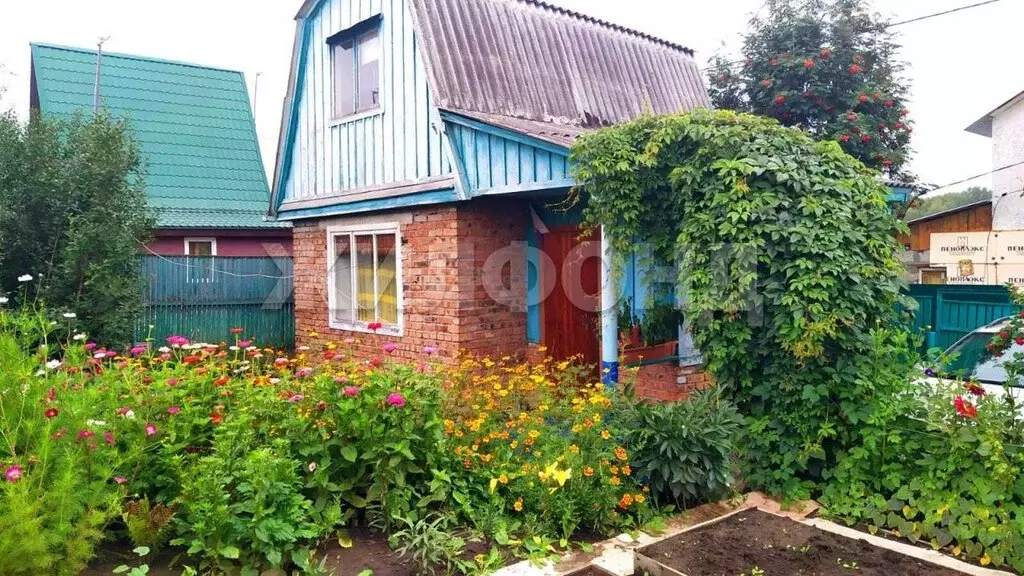 Дом в Бердск, СНТ Восток-1, Озёрная улица (30 м) - Фото 0