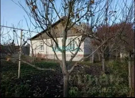 Дом в Белгородская область, Новооскольский муниципальный округ, с. ... - Фото 1