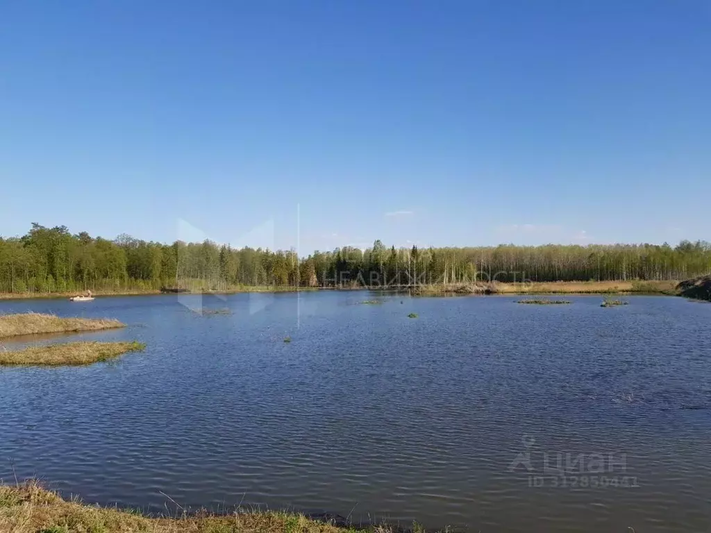 Участок в Тюменская область, Нижнетавдинский район, Геолог-2 СНТ 3-я ... - Фото 1