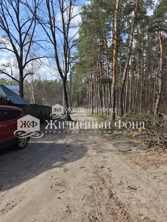 Дом в Курская область, Курчатовский район, с. Дичня  (128 м) - Фото 2