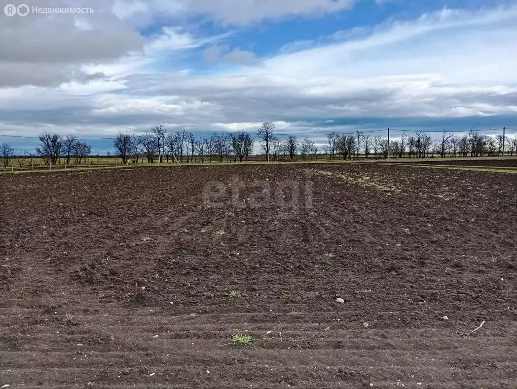 Участок в Пушкинское сельское поселение, село Маковка, Виноградная ... - Фото 2