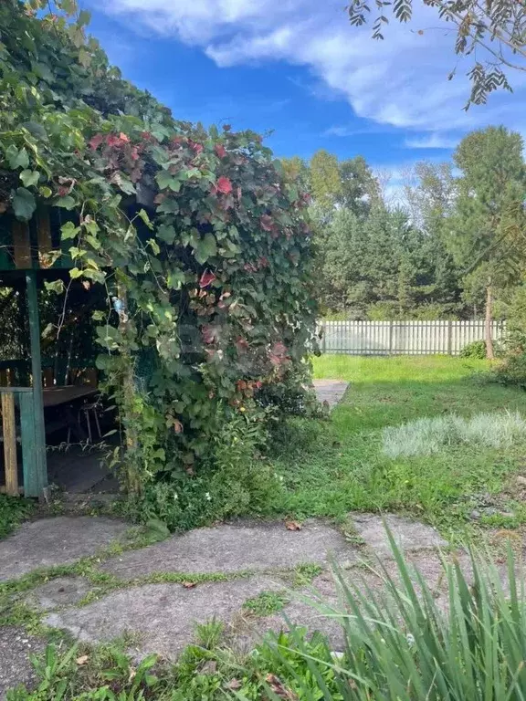 Дом в Амурская область, с. Тамбовка ул. 50-летия Октября, 86 (96 м) - Фото 2