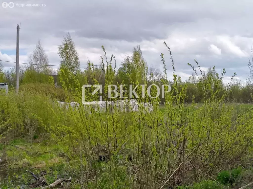 Участок в Кострома, посёлок Волжский, 13-й квартал (5.5 м) - Фото 0