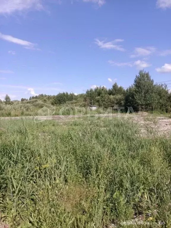 Участок в Тюменская область, Тюмень Поляна садовое общество, ул. ... - Фото 1