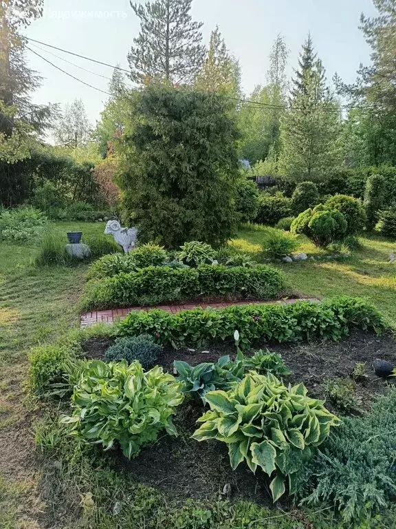 Дом в Выборгский район, Рощинское городское поселение, СНТ Карелия СПБ ... - Фото 1