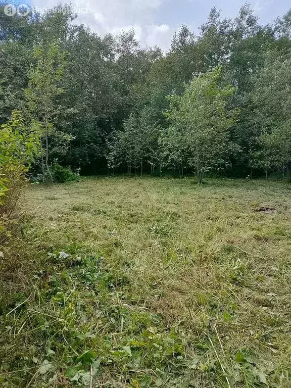 Участок в Волосовский район, Большеврудское сельское поселение, ... - Фото 2