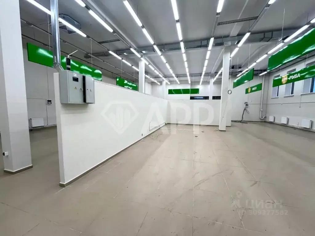Помещение свободного назначения в Удмуртия, Ижевск ул. Карла Маркса, ... - Фото 0