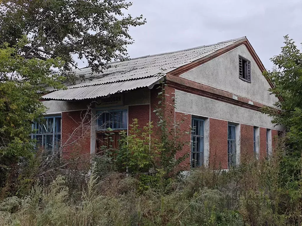 Помещение свободного назначения в Новосибирская область, Карасукский ... - Фото 1