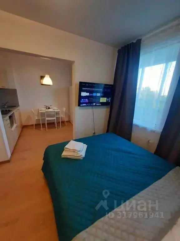 1-к кв. Санкт-Петербург просп. Энергетиков, 11к5 (30.0 м) - Фото 0