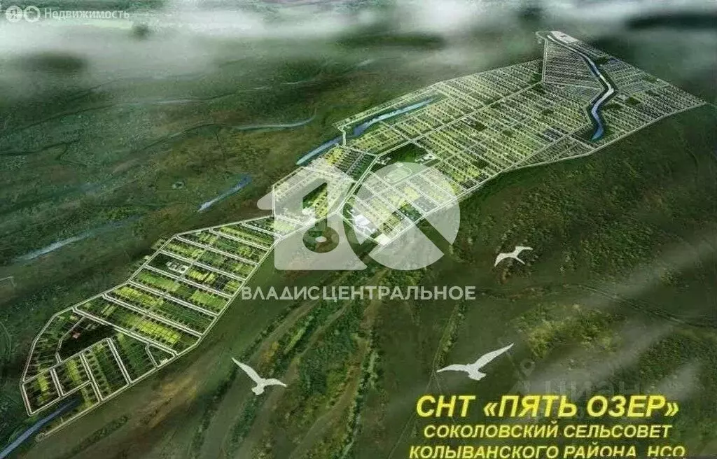 Участок в Колыванский район, СНТ Пять озёр, Озёрная улица, 32 (10 м) - Фото 1