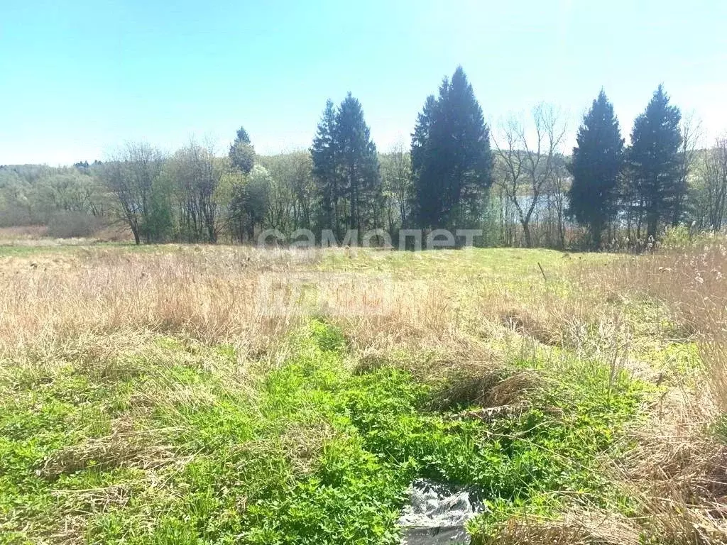 Участок в Московская область, Солнечногорск городской округ, д. ... - Фото 1