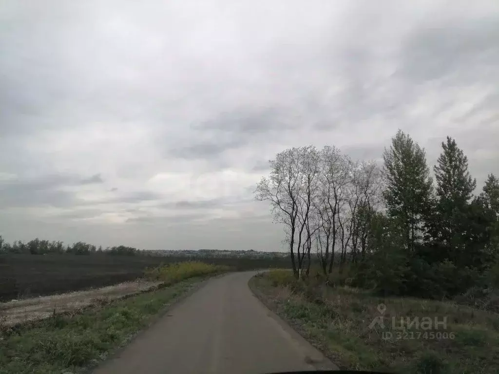 Участок в Белгородская область, Белгородский район, Головинское с/пос, ... - Фото 2