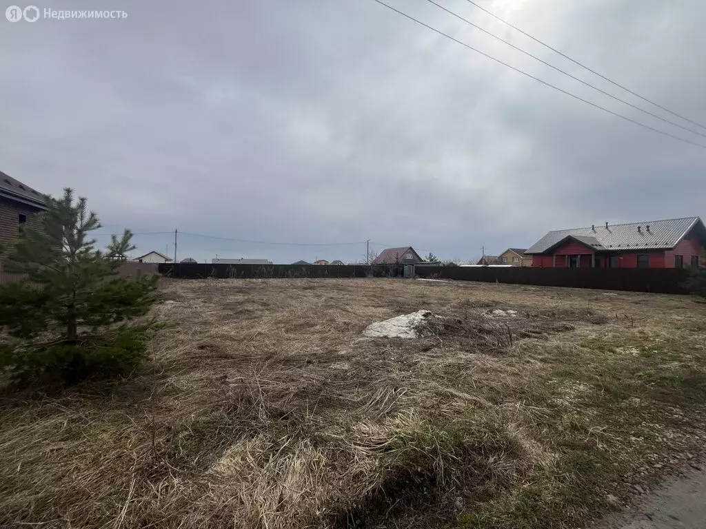 Участок в Владимирская область, Суздальский муниципальный округ, село ... - Фото 2