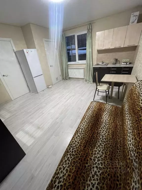 Студия Московская область, Мытищи городской округ, д. Грибки ш. ... - Фото 1