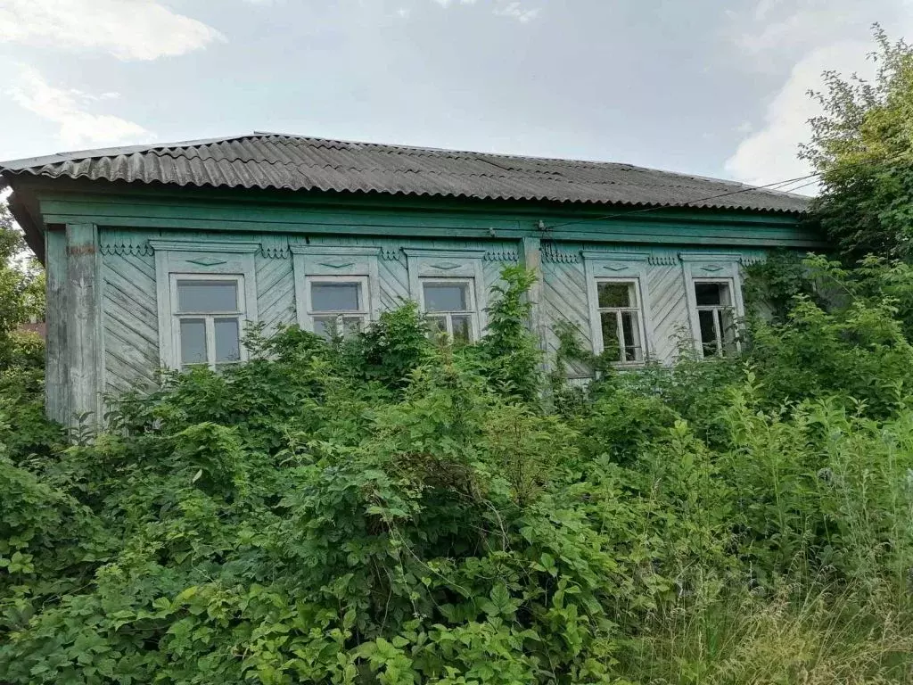 Дома в лунино пензенской области