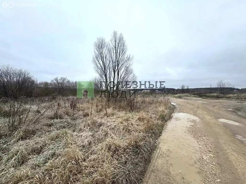 Участок в Орловский муниципальный округ, деревня Казначеево (15.7 м) - Фото 2