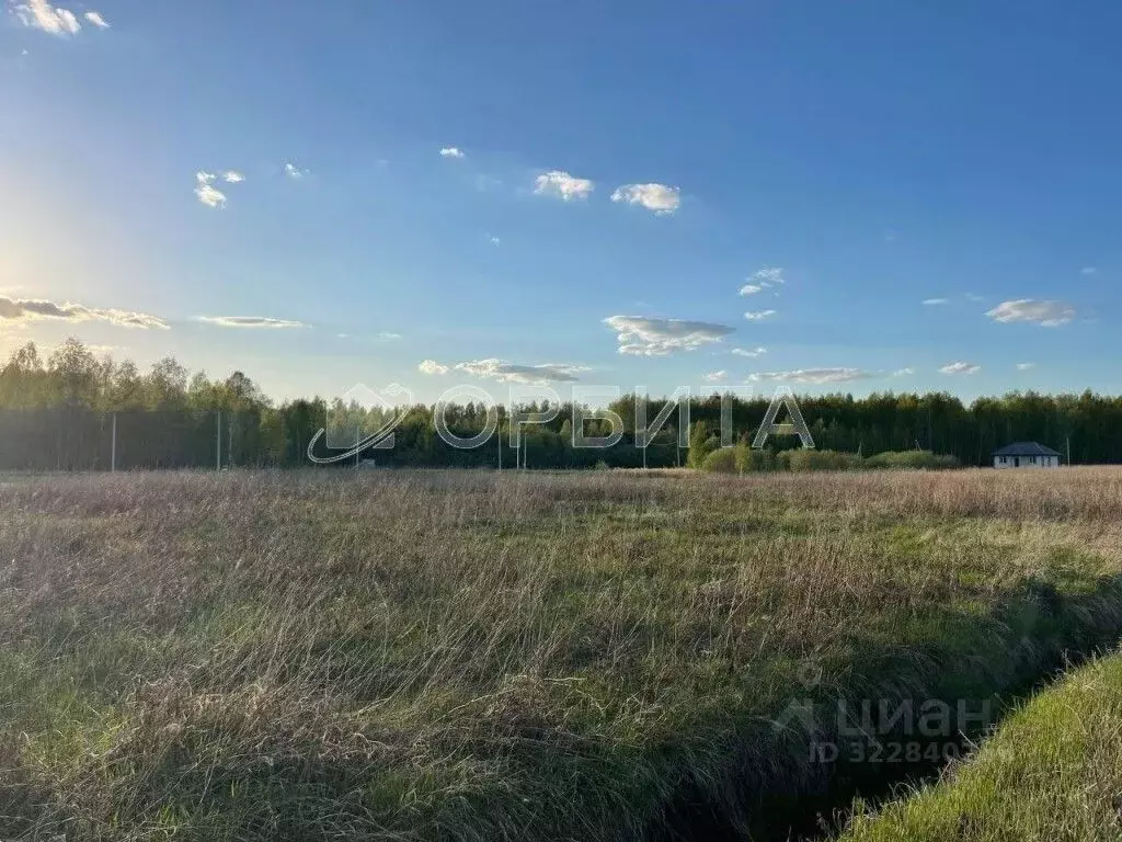 Участок в Тюменская область, Тюмень Матрешка СНТ,  (15.0 сот.) - Фото 2