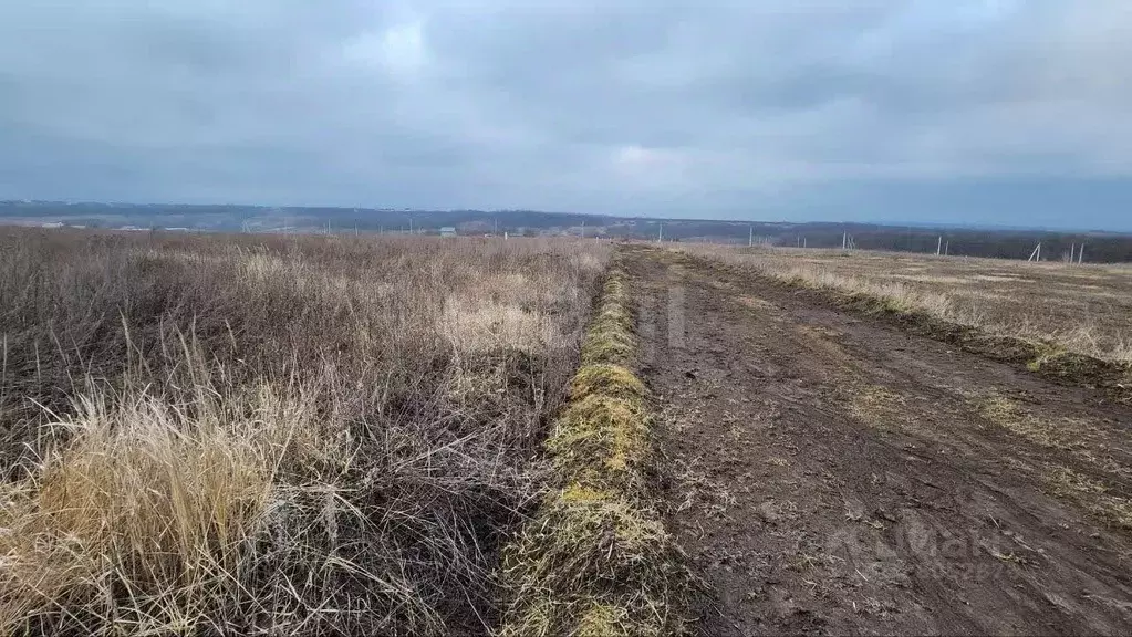 Участок в Белгородская область, Белгородский район, Крутологское ... - Фото 1