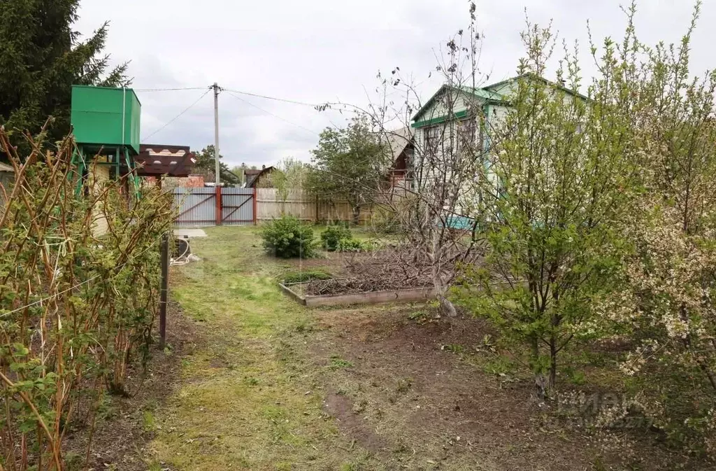 Дом в Тюменская область, Тюмень Вертолет СНТ, ул. Ягодная, 76 (50 м) - Фото 1