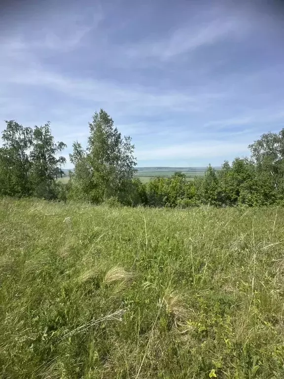 Участок 8,5 сот. (ИЖС) - Фото 1