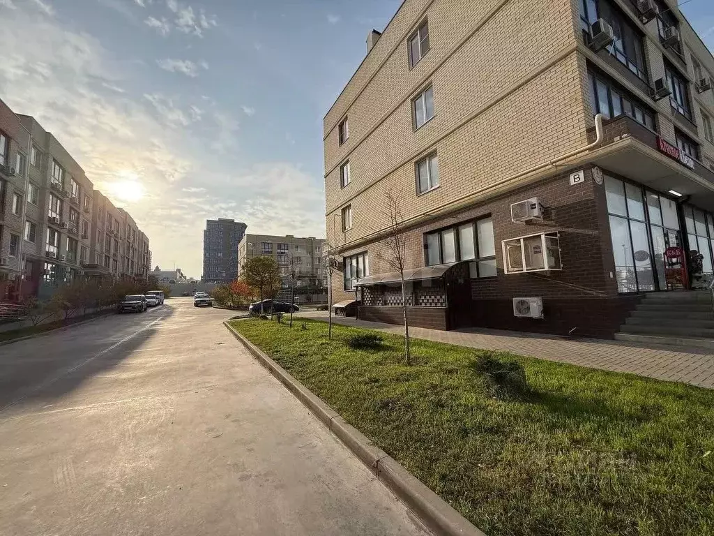 Помещение свободного назначения в Краснодарский край, Анапа ул. ... - Фото 1