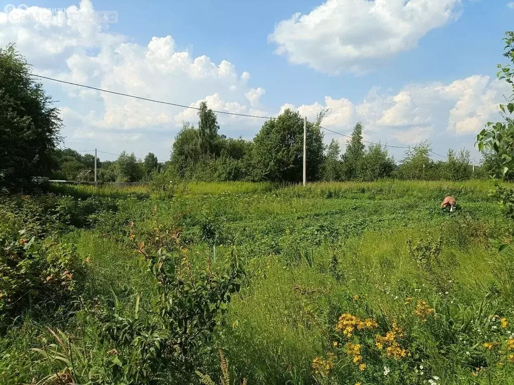 Участок в село Толмачево, СДТ Ветеран-2 (6 м) - Фото 1