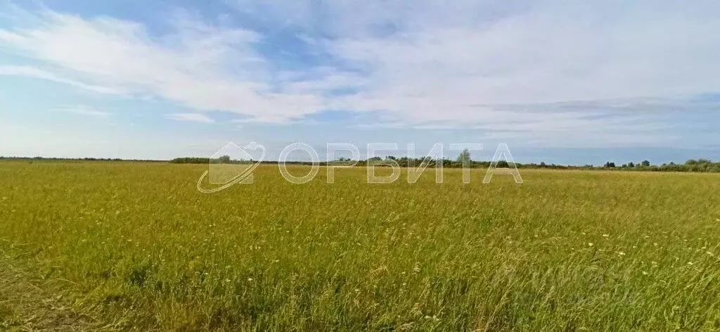 Участок в Тюменская область, Тюменский муниципальный округ, с. Ембаево ... - Фото 1