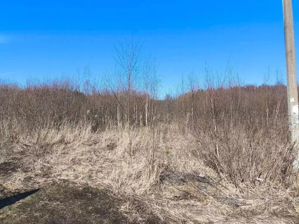 Участок в Московская область, Ликино-Дулево Орехово-Зуевский городской ... - Фото 0