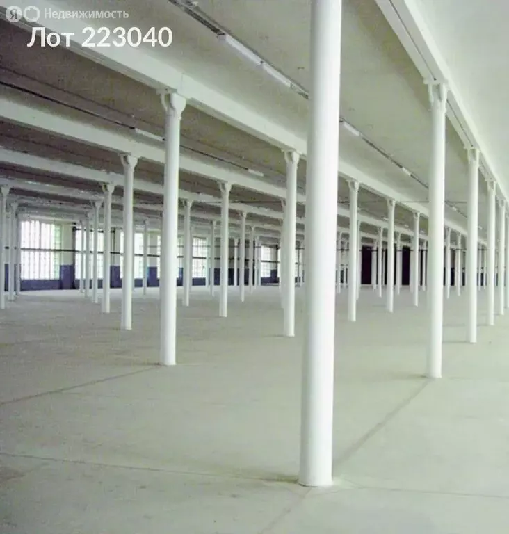 Помещение свободного назначения (800 м) - Фото 1