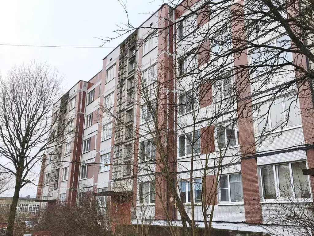 3-к кв. Ленинградская область, Ломоносовский район, Оржицкое с/пос, д. ... - Фото 1