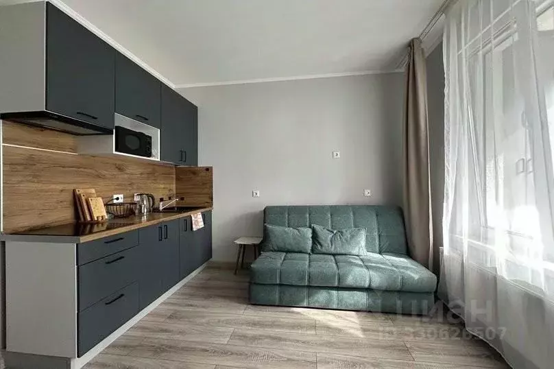 1-к кв. Санкт-Петербург Планерная ул., 99 (25.0 м) - Фото 2