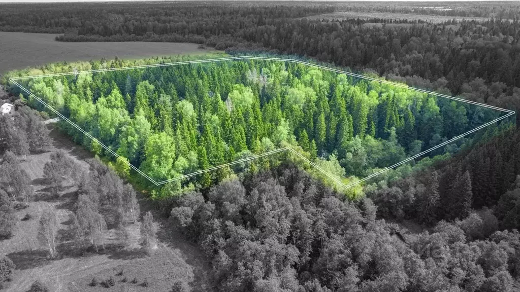 Участок в Московская область, Одинцовский городской округ, Рига лес кп ... - Фото 1