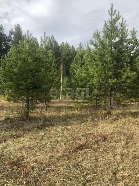 Участок в Свердловская область, Екатеринбург Лесные Тропы кп,  (20.0 ... - Фото 0