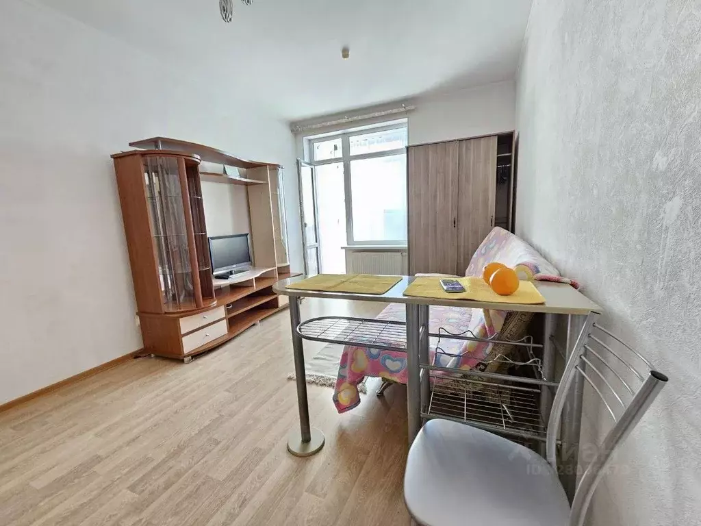 Студия Санкт-Петербург ул. Адмирала Трибуца, 7 (24.4 м) - Фото 1