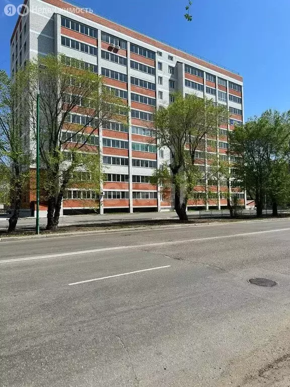 Квартира-студия: Благовещенск, Октябрьская улица, 233 (23.9 м) - Фото 2