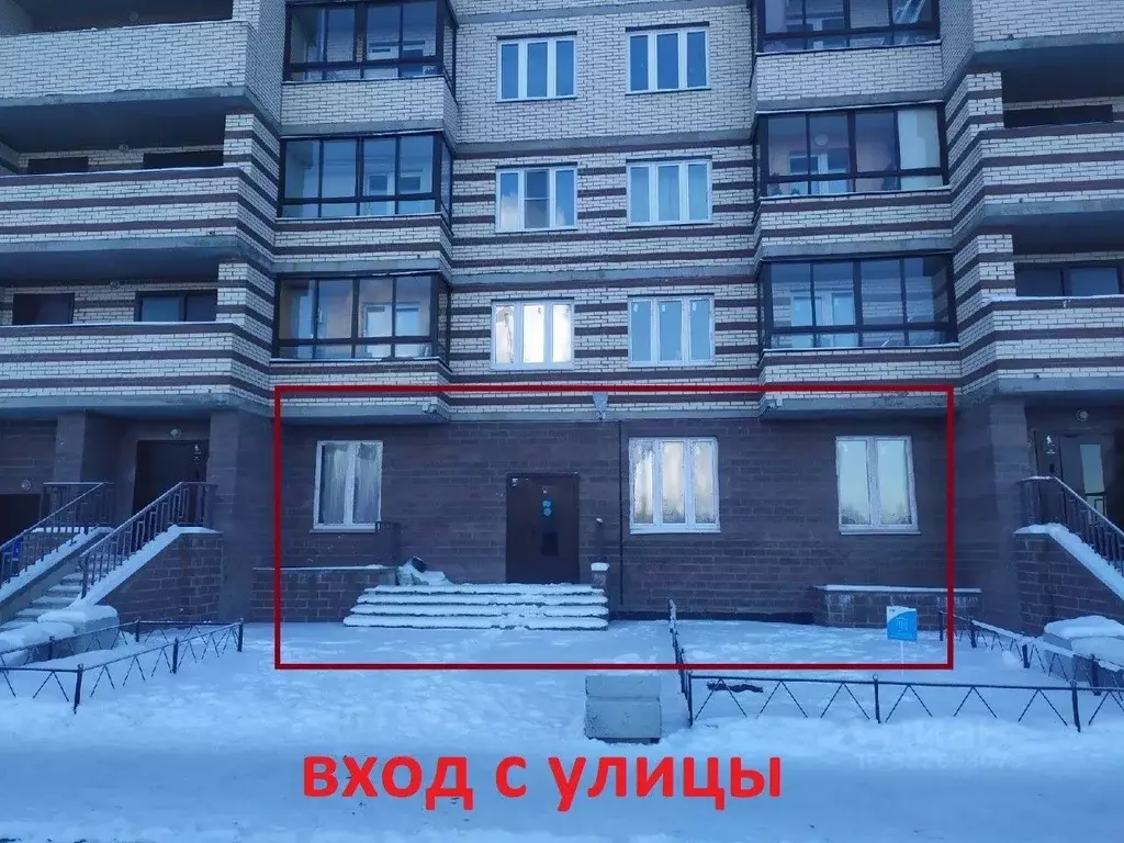 Помещение свободного назначения в Ленинградская область, Мурино ... - Фото 2